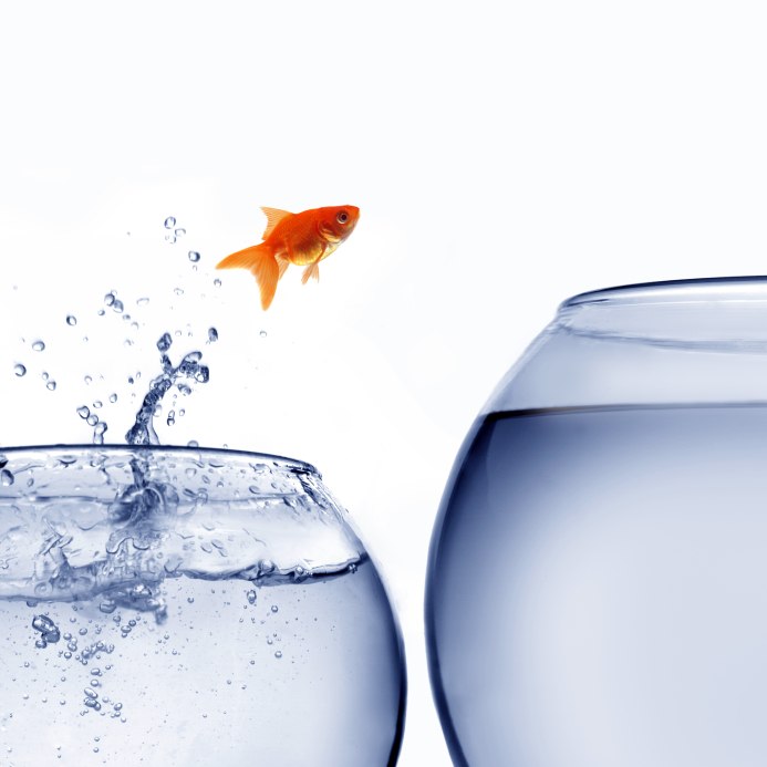 Change management