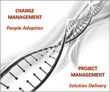 Change Management – Project Management diagram